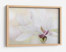Magnolia blanca elegante - Jacky Parker | Cuadro decorativo de Canvas Lab