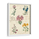 Journal Botánico I - Vision Studio | Cuadro decorativo de Canvas Lab