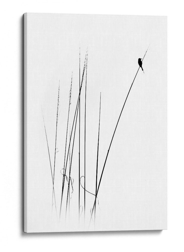 Pájaro de caña, minimalista y elegante - swapnil deshpande | Cuadro decorativo de Canvas Lab