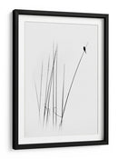 Pájaro de caña, minimalista y elegante - swapnil deshpande | Cuadro decorativo de Canvas Lab