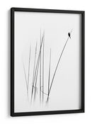 Pájaro de caña, minimalista y elegante - swapnil deshpande | Cuadro decorativo de Canvas Lab