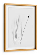 Pájaro de caña, minimalista y elegante - swapnil deshpande | Cuadro decorativo de Canvas Lab