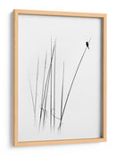 Pájaro de caña, minimalista y elegante - swapnil deshpande | Cuadro decorativo de Canvas Lab