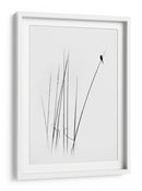 Pájaro de caña, minimalista y elegante - swapnil deshpande | Cuadro decorativo de Canvas Lab
