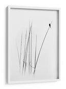 Pájaro de caña, minimalista y elegante - swapnil deshpande | Cuadro decorativo de Canvas Lab