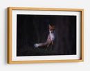 Misterioso zorro del bosque - Sebastian Mastahac | Cuadro decorativo de Canvas Lab