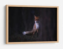 Misterioso zorro del bosque - Sebastian Mastahac | Cuadro decorativo de Canvas Lab