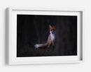 Misterioso zorro del bosque - Sebastian Mastahac | Cuadro decorativo de Canvas Lab