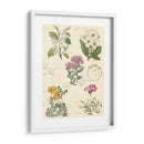 Diario Botánico Ii - Vision Studio | Cuadro decorativo de Canvas Lab