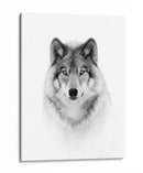 Mirada majestuosa del lobo - Jim Cumming | Cuadro decorativo de Canvas Lab