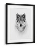 Mirada majestuosa del lobo - Jim Cumming | Cuadro decorativo de Canvas Lab
