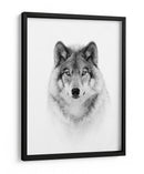Mirada majestuosa del lobo - Jim Cumming | Cuadro decorativo de Canvas Lab