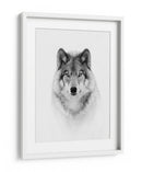 Mirada majestuosa del lobo - Jim Cumming | Cuadro decorativo de Canvas Lab
