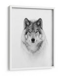 Mirada majestuosa del lobo - Jim Cumming | Cuadro decorativo de Canvas Lab