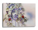 Mariquitas en flores suaves - Ellen van Deelen | Cuadro decorativo de Canvas Lab