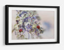 Mariquitas en flores suaves - Ellen van Deelen | Cuadro decorativo de Canvas Lab