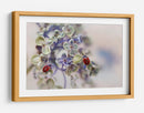 Mariquitas en flores suaves - Ellen van Deelen | Cuadro decorativo de Canvas Lab