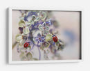 Mariquitas en flores suaves - Ellen van Deelen | Cuadro decorativo de Canvas Lab