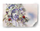 Mariquitas en flores suaves - Ellen van Deelen | Cuadro decorativo de Canvas Lab