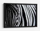 Ojo de cebra rayado - Marco Tagliarino | Cuadro decorativo de Canvas Lab