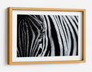 Ojo de cebra rayado - Marco Tagliarino | Cuadro decorativo de Canvas Lab