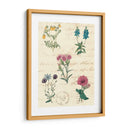 Diario Botánico Iii - Vision Studio | Cuadro decorativo de Canvas Lab
