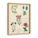 Diario Botánico Iii - Vision Studio | Cuadro decorativo de Canvas Lab