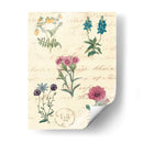 Diario Botánico Iii - Vision Studio | Cuadro decorativo de Canvas Lab