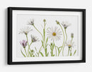 Margaritas del Cabo - Mandy Disher | Cuadro decorativo de Canvas Lab