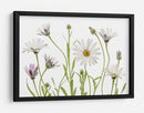 Margaritas del Cabo - Mandy Disher | Cuadro decorativo de Canvas Lab