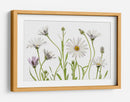 Margaritas del Cabo - Mandy Disher | Cuadro decorativo de Canvas Lab