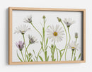 Margaritas del Cabo - Mandy Disher | Cuadro decorativo de Canvas Lab