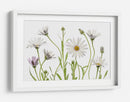 Margaritas del Cabo - Mandy Disher | Cuadro decorativo de Canvas Lab
