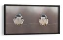 Pareja de pájaros pacíficos - Lucie Gagnon | Cuadro decorativo de Canvas Lab