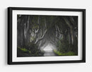 Misterioso túnel de árbol - Nicola Molteni | Cuadro decorativo de Canvas Lab