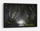 Misterioso túnel de árbol - Nicola Molteni | Cuadro decorativo de Canvas Lab