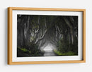 Misterioso túnel de árbol - Nicola Molteni | Cuadro decorativo de Canvas Lab