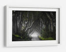 Misterioso túnel de árbol - Nicola Molteni | Cuadro decorativo de Canvas Lab