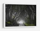 Misterioso túnel de árbol - Nicola Molteni | Cuadro decorativo de Canvas Lab