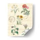 Diario Botánico Iv - Vision Studio | Cuadro decorativo de Canvas Lab