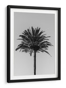 Silueta de palmera - Fluidys Studio III | Cuadro decorativo de Canvas Lab