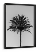 Silueta de palmera - Fluidys Studio III | Cuadro decorativo de Canvas Lab