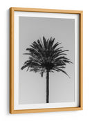 Silueta de palmera - Fluidys Studio III | Cuadro decorativo de Canvas Lab