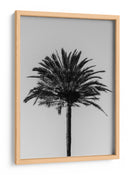Silueta de palmera - Fluidys Studio III | Cuadro decorativo de Canvas Lab