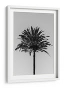 Silueta de palmera - Fluidys Studio III | Cuadro decorativo de Canvas Lab