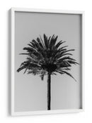 Silueta de palmera - Fluidys Studio III | Cuadro decorativo de Canvas Lab