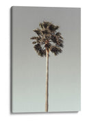 Serenidad de árboles tropicales - Fluidys Studio III | Cuadro decorativo de Canvas Lab