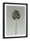 Serenidad de árboles tropicales - Fluidys Studio III | Cuadro decorativo de Canvas Lab