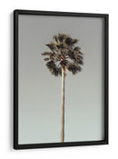 Serenidad de árboles tropicales - Fluidys Studio III | Cuadro decorativo de Canvas Lab