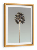 Serenidad de árboles tropicales - Fluidys Studio III | Cuadro decorativo de Canvas Lab